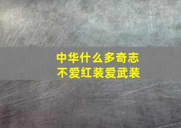 中华什么多奇志 不爱红装爱武装